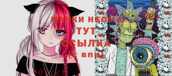 гашик Пересвет