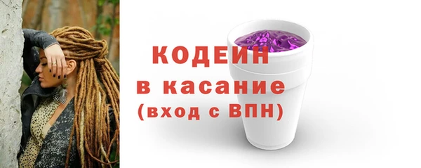 гашик Пересвет