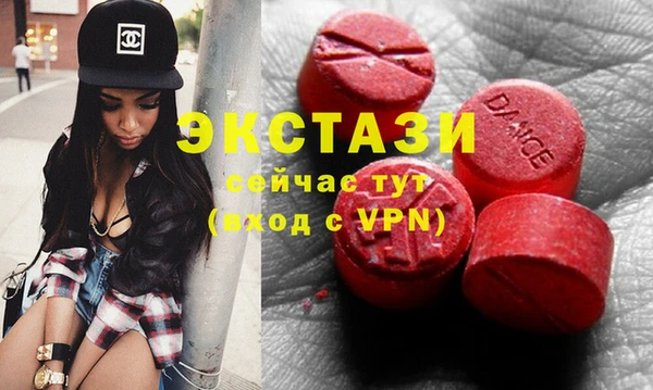 гашик Пересвет