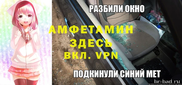 гашик Пересвет