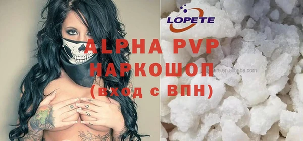 гашик Пересвет