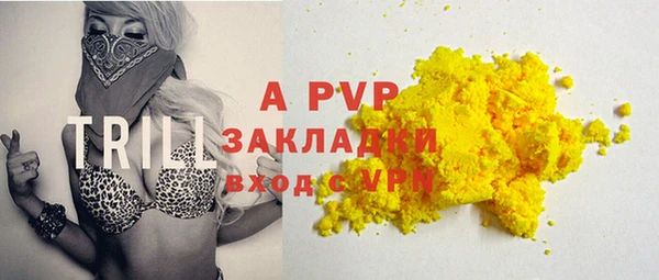 гашик Пересвет