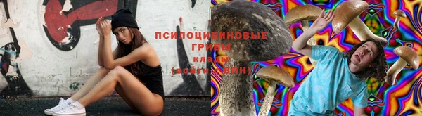 ALPHA-PVP Пестово