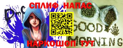 шишки Берёзовский