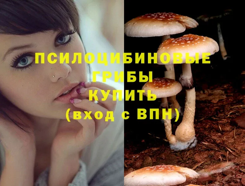 Галлюциногенные грибы Psilocybine cubensis Касимов