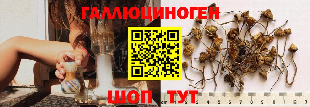 Галлюциногенные грибы мухоморы Касимов