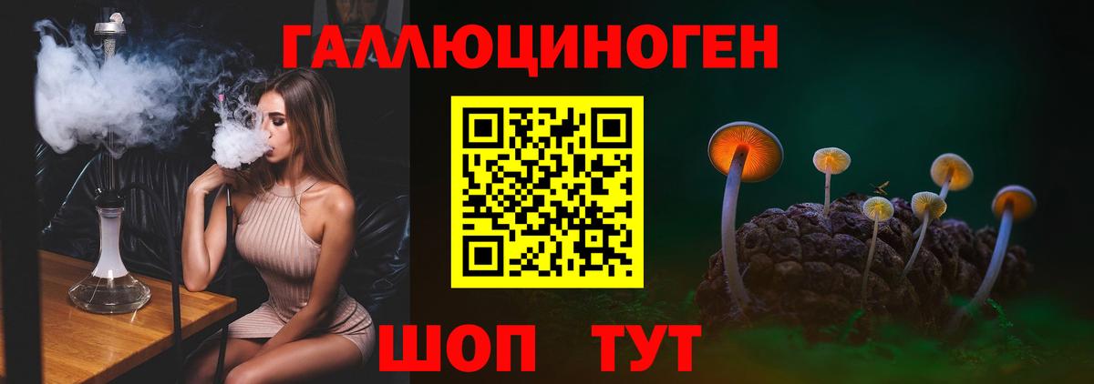 Галлюциногенные грибы MAGIC MUSHROOMS Касимов