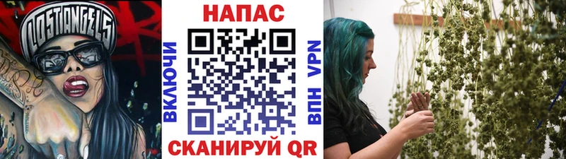 Шишки марихуана планчик  Касимов 